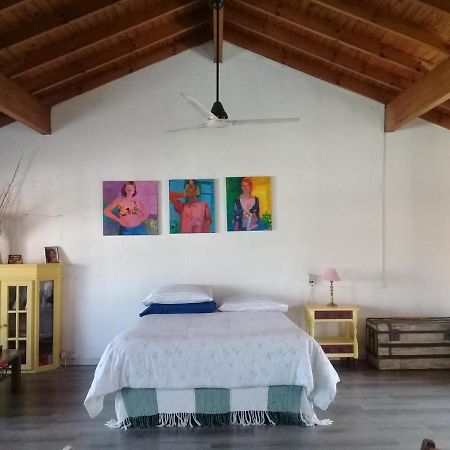 La Casa De Los Murales Авельянеда Экстерьер фото